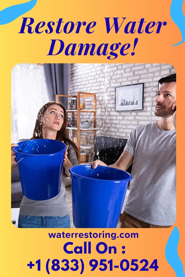 water restoration Prestige Flood Damage LLC Atlantic Beach
